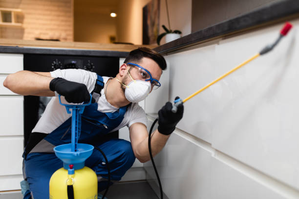 Flea Control Services in Montesano, WA