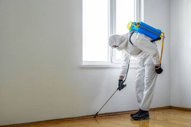 Best Pest Removal Services  in Montesano, WA