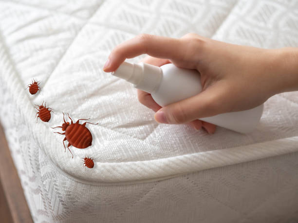 Best Pest Prevention Services  in Montesano, WA