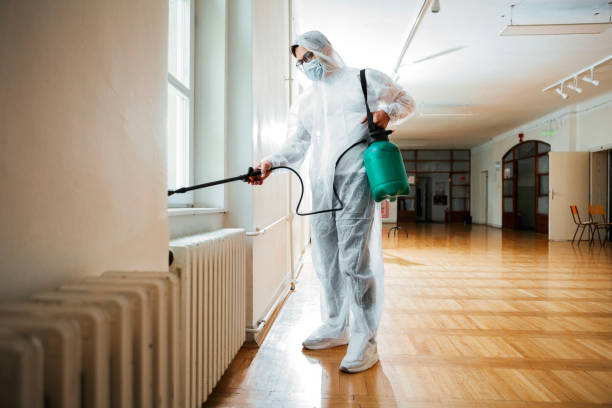 Best Flea Control Services  in Montesano, WA